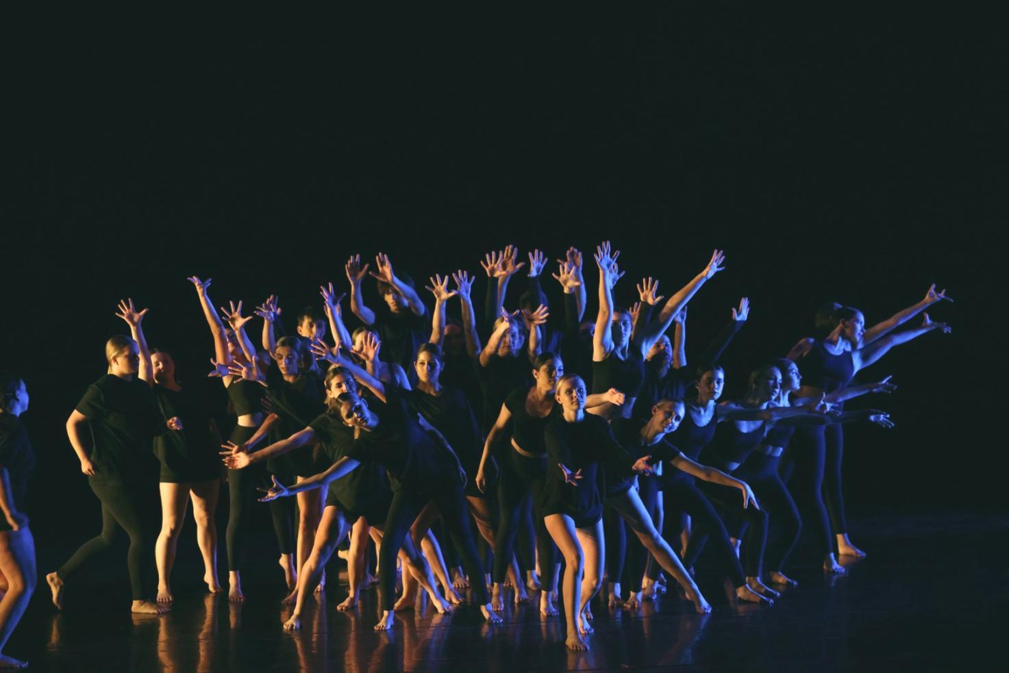 Intensive Trainingseinheit mit Fokus auf technische Details